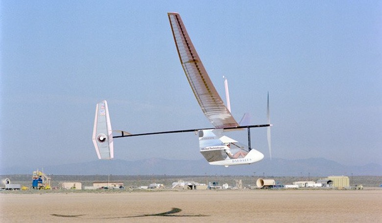 Daedalus takes to the skies.