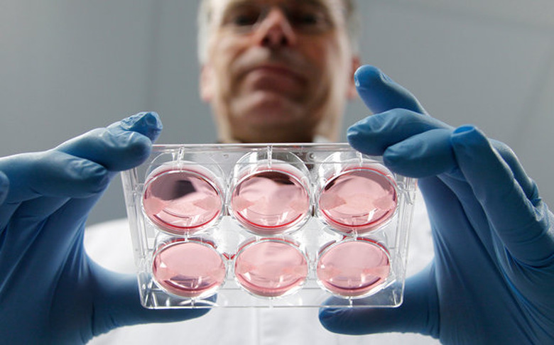 Burger built in lab costs $325,000 to produce, 'tastes reasonably good'