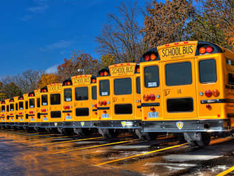 School buses in the fall