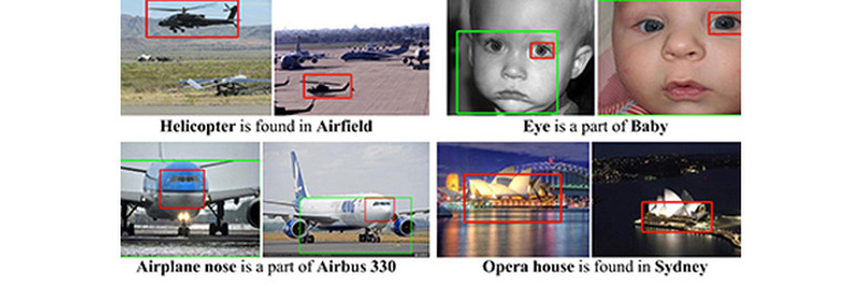 Never Ending Image Learner