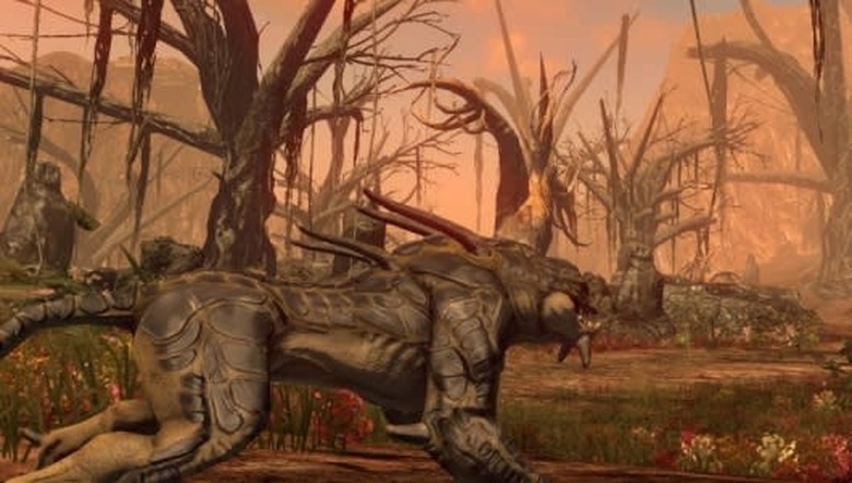 The source of my problems is the enormous predatory cat lurking five meters away. You didn't need to ask me about this. It's obvious.