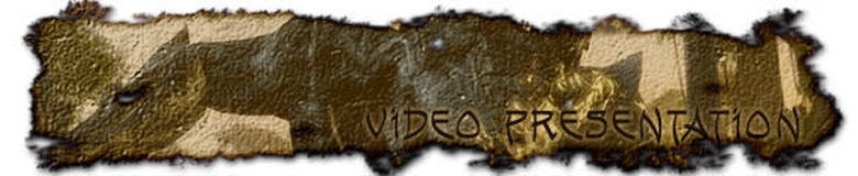 Video presentation