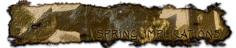 Spring implications
