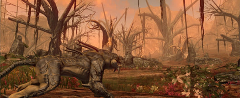 The Repopulation