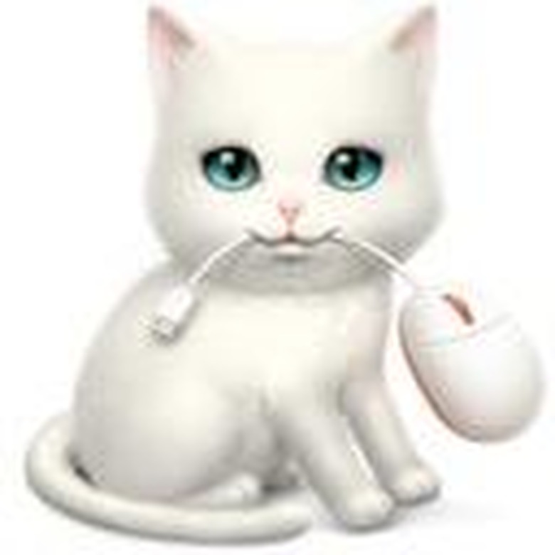 Shortcat App Icon