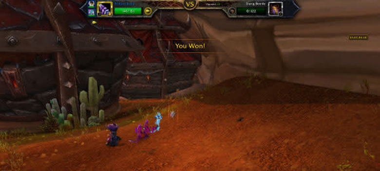 Pet Battle Victory