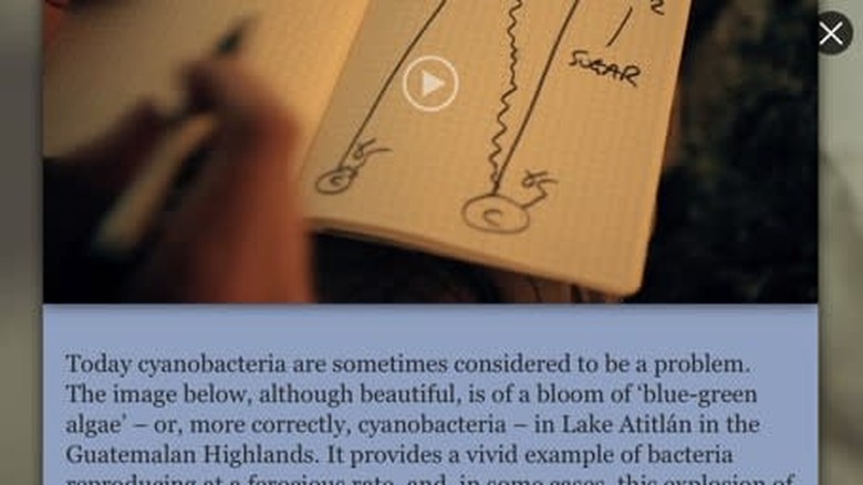 Brian Cox's Wonders of Life