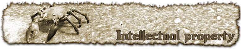 Intellectual property