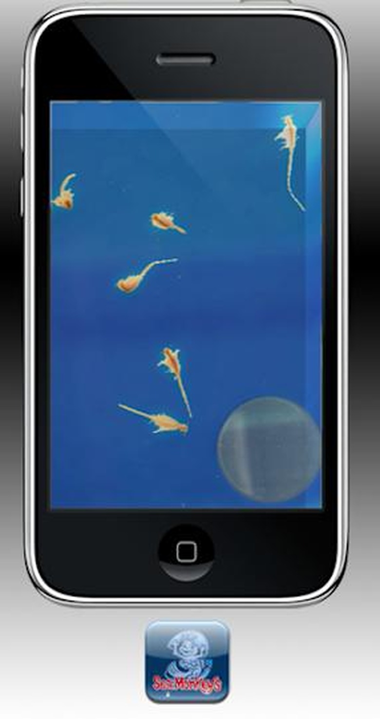 sea monkey demo