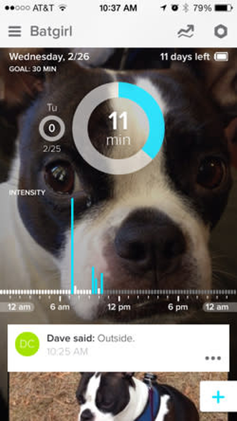 Whistle for iPhone