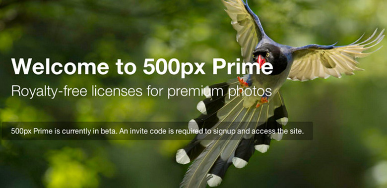 500px Prime launch