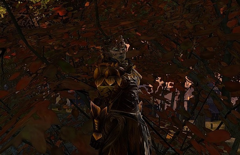 Sylvari hiding!