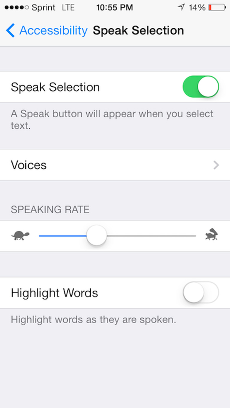 Speak Selection iOS