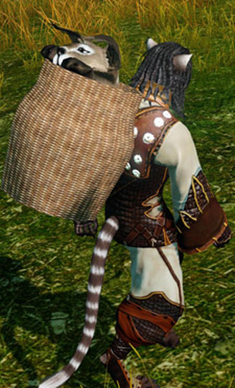 ArcheAge cat backpack