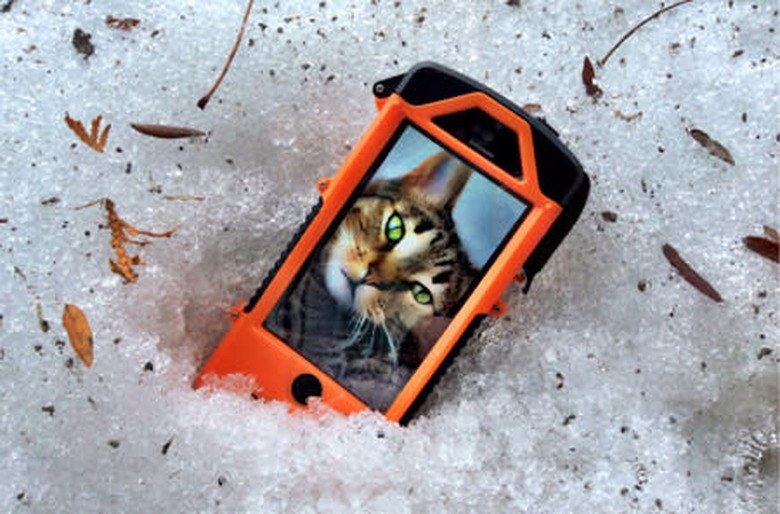 snowlizard case testing