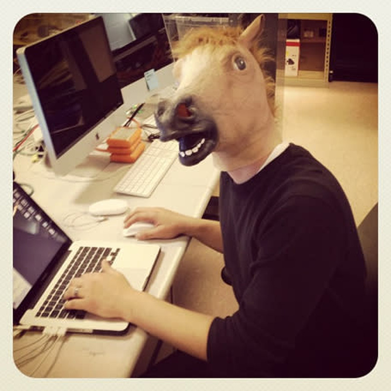 Horsing Around