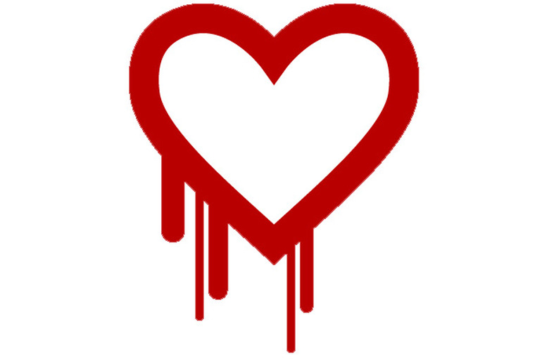 Heartbleed Bug, symbolized
