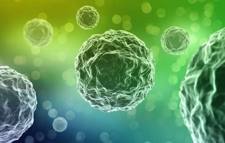 Single cell bacteria - the beginning of life on Earth concept illustration