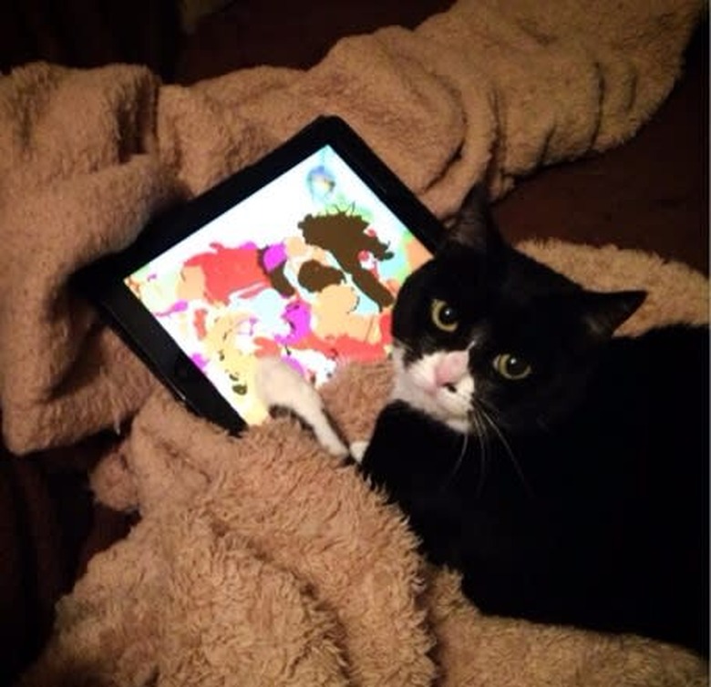 iPad Cat