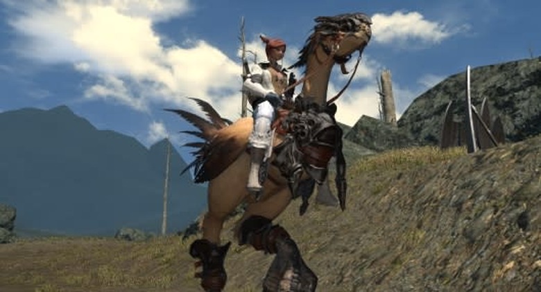 Legacy Chocobo, glamoured combination of shirt and Sentinel's armor, taken in the North Shroud near the border with Coerthas. There, aren't you happy now?