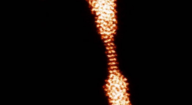 Vanderbilt University / Oak Ridge's ultra-thin nanowires