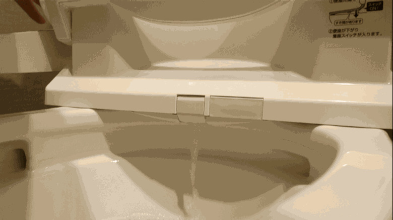 What cleans the bidet cleaner?