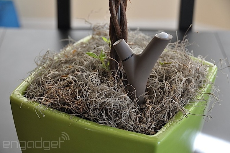 Parrot Flower Power review: Can technology give you a green thumb?