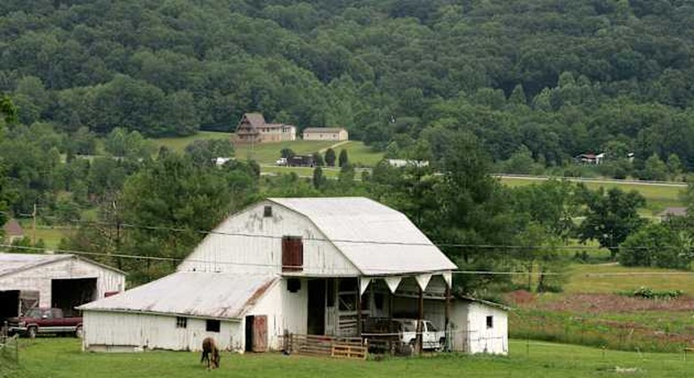 Rural Broadband