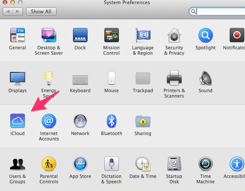 System Preferences pane indicating iCloud settings