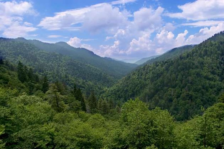 Great Smoky Mountains National Park