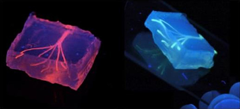 3D printed blood vessels