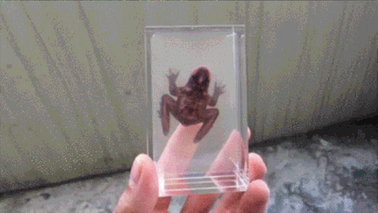 Looking Glass Hologram 2.0