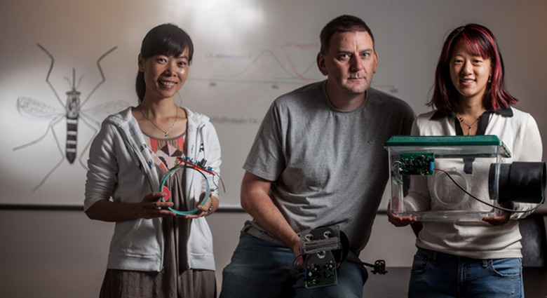 UC Riverside researchers and their insect audio identification gear