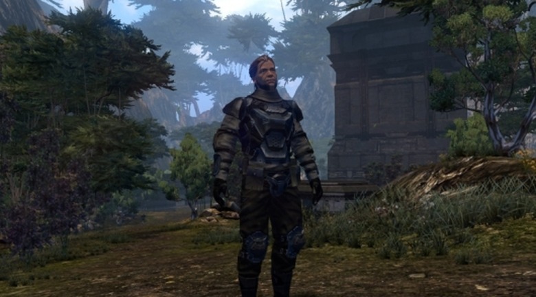 Standing in an open field, just waiting for adventure to come to him, he is John Protagonist.