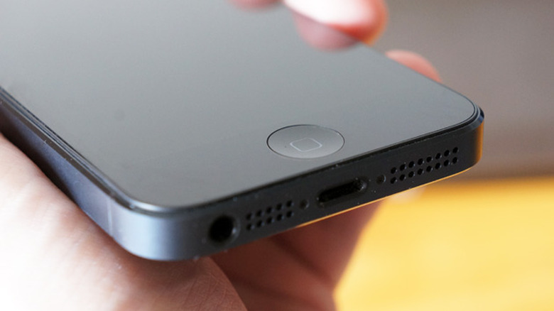 iPhone 5 Lightning port