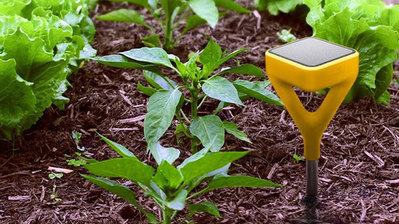 Edyn smart garden system