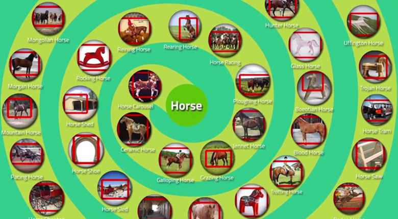 LEVAN shows what it knows about horses