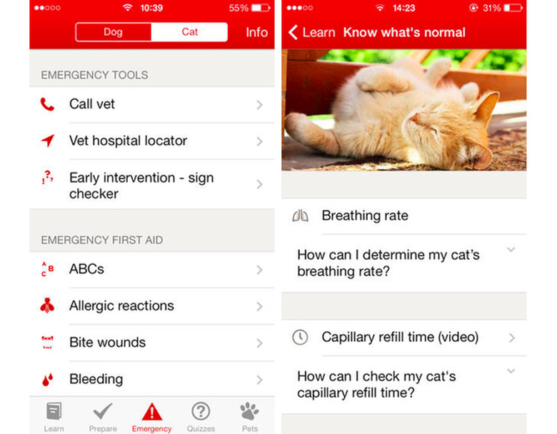 Pet First Aid