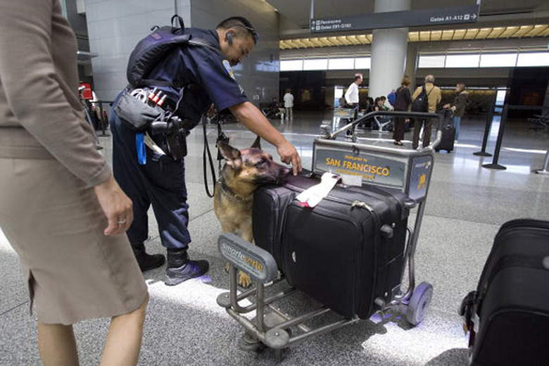 An officer and his dog check for bombs at San Francisco's airport