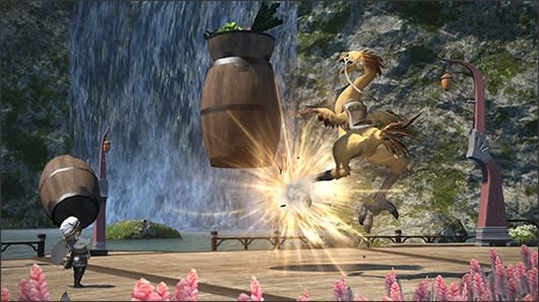 Good bird! Now you get to eat again.