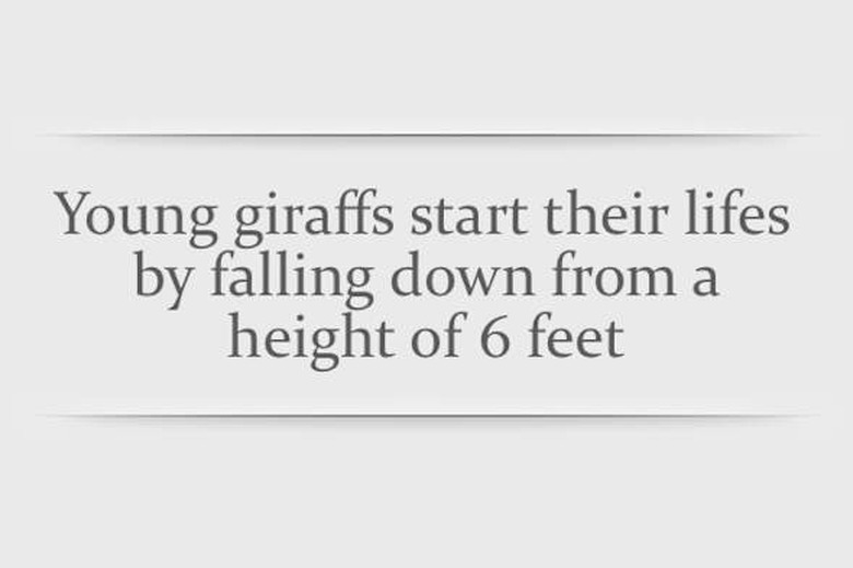 Do You Believe screenshot