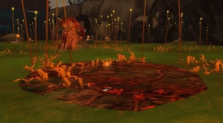 Swarmkeeper's Medallion in the marsh