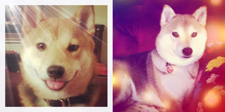 InstaTxtr photo editing app