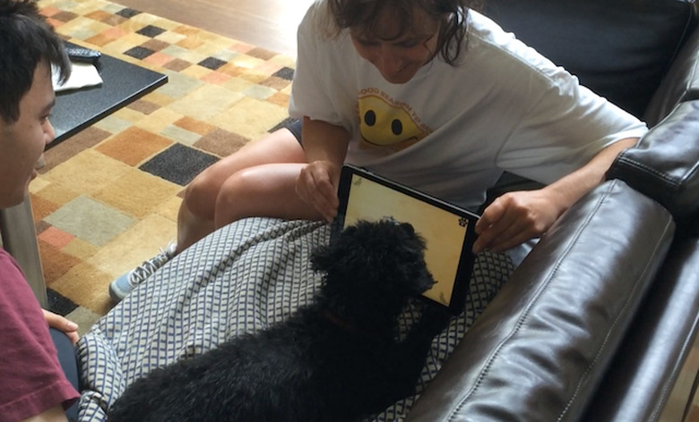 Iggy the dog with his iPad