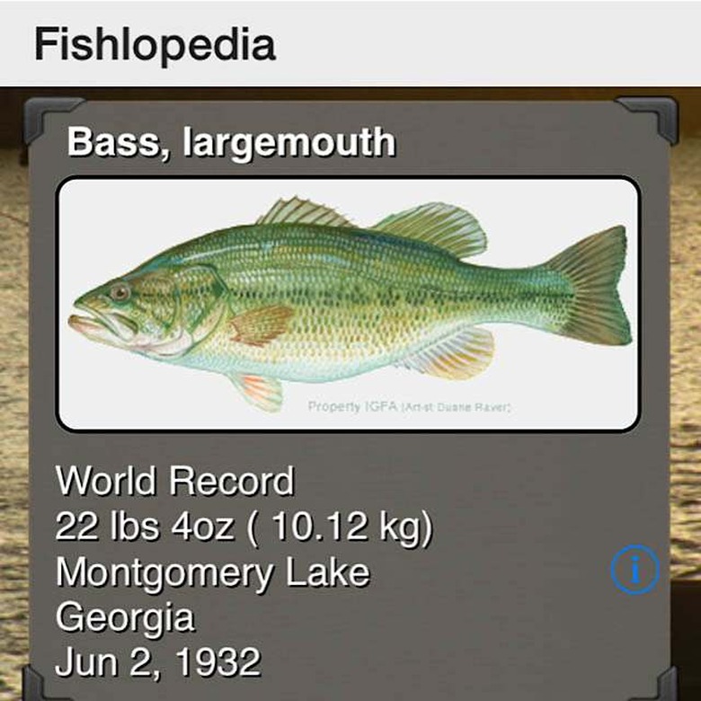 Bill Dance screenshots