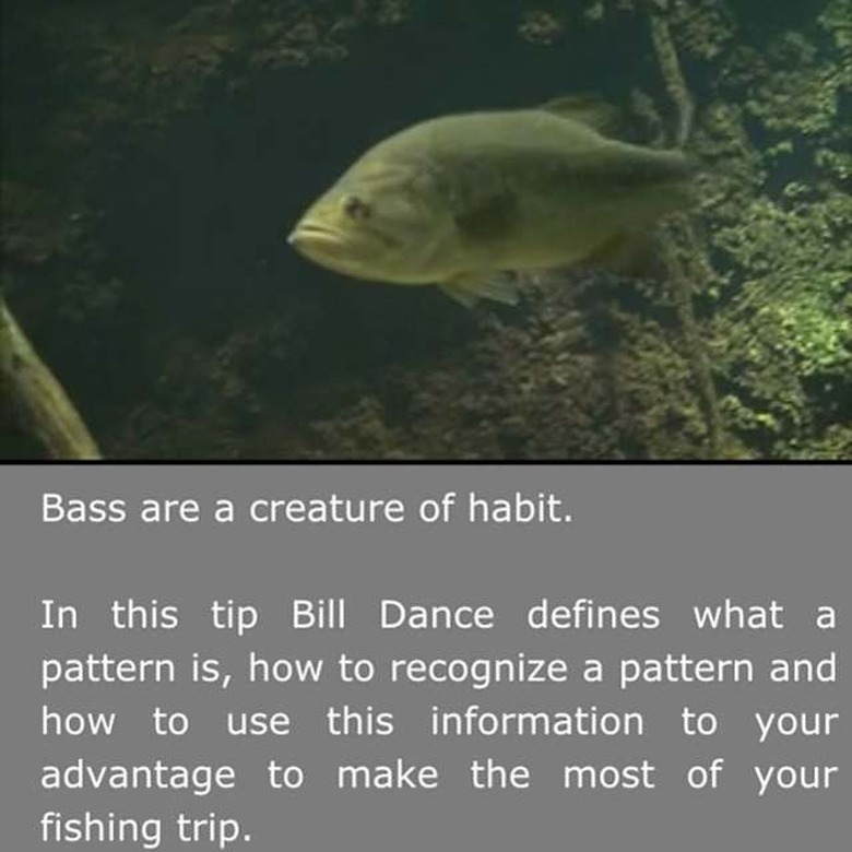 Bill Dance screenshots