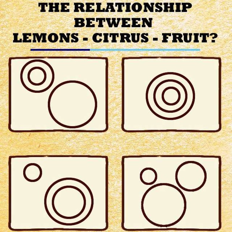 The first mini game in Cerasis Quest is an answer the questions type game