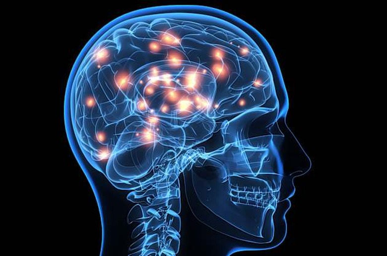 Brain activity, computer artwork.