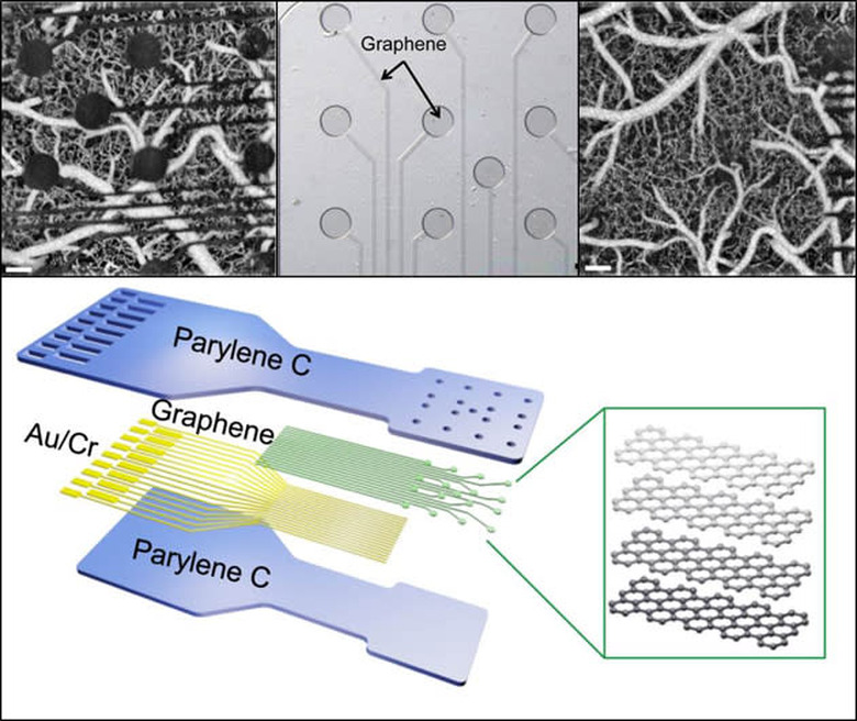 DARPA's graphene brain sensor