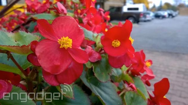 Lumia 735 rear camera photo